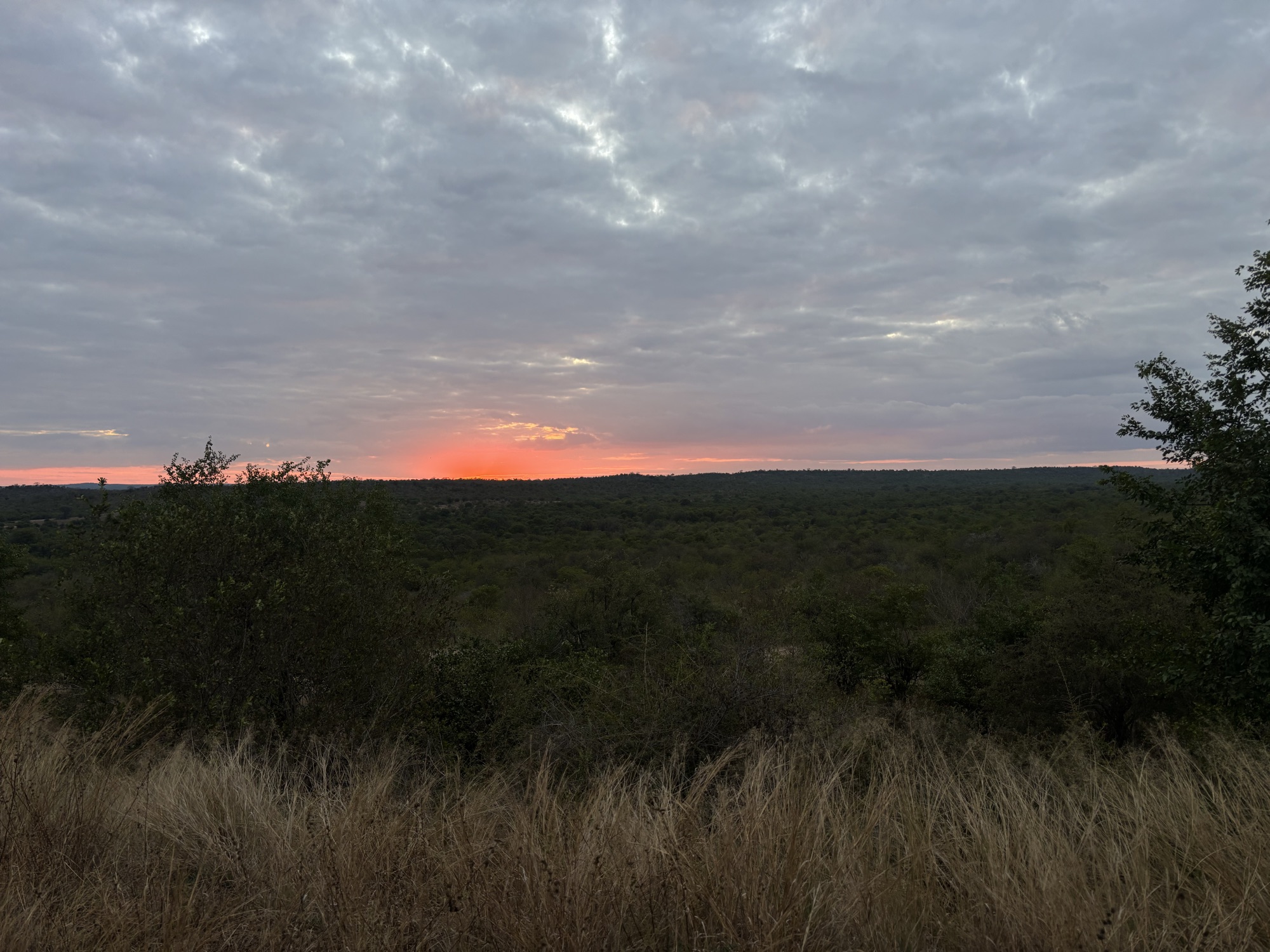 Atardecer cerca del campamento de Satara, en el Kruger