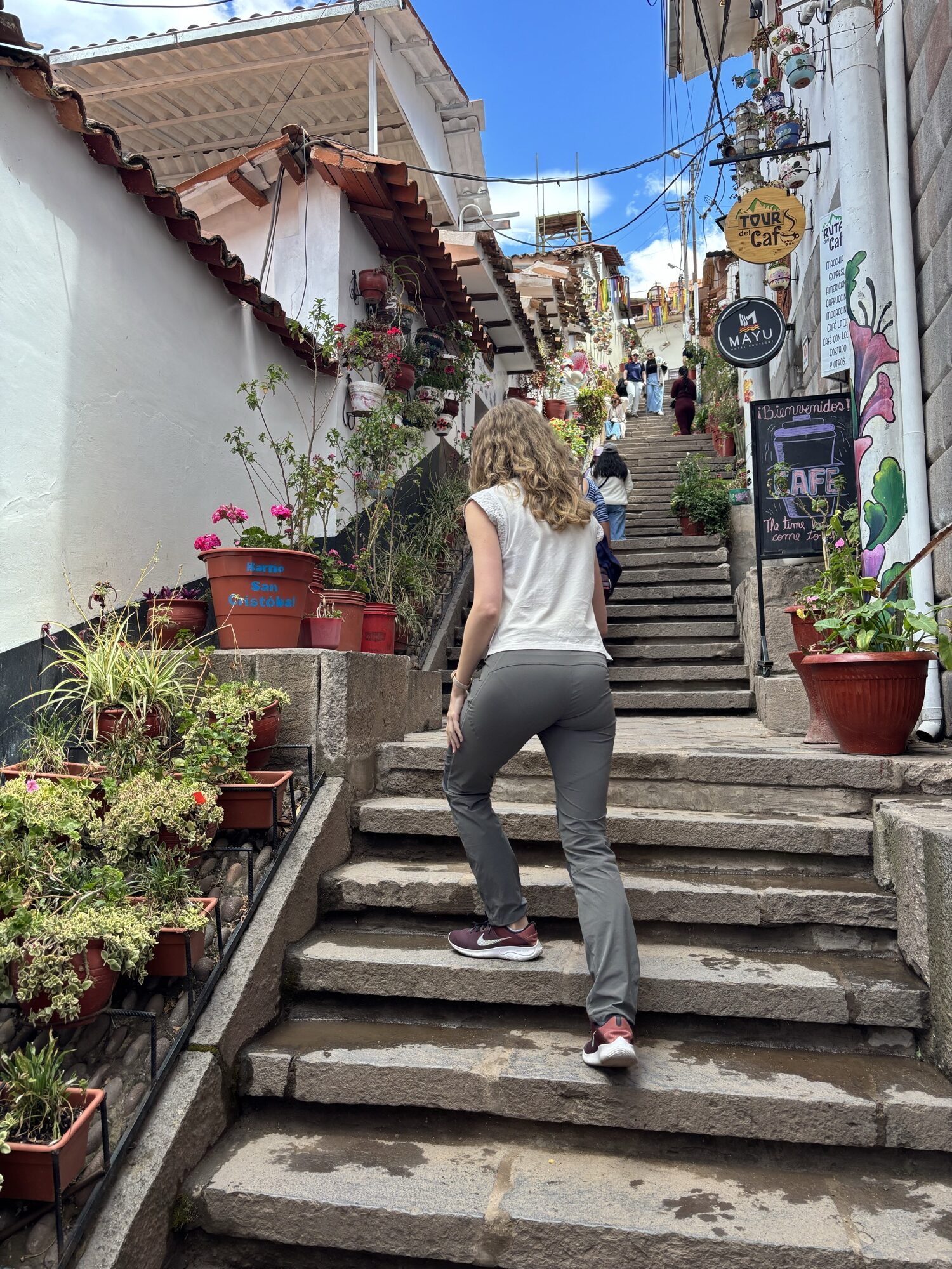 Calle de las flores