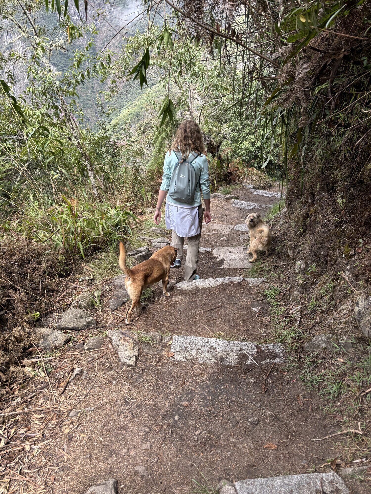 Laura bajando del machu con dos perros