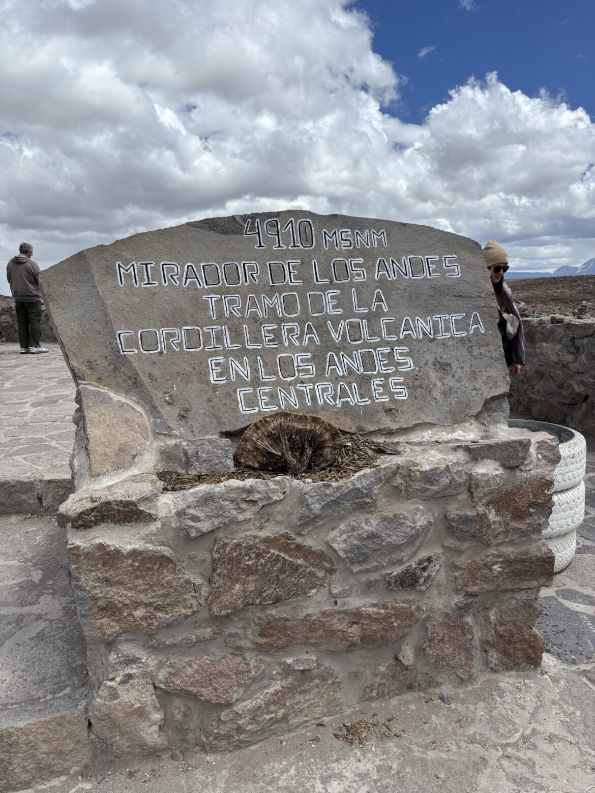 Mirador de los andes 4910