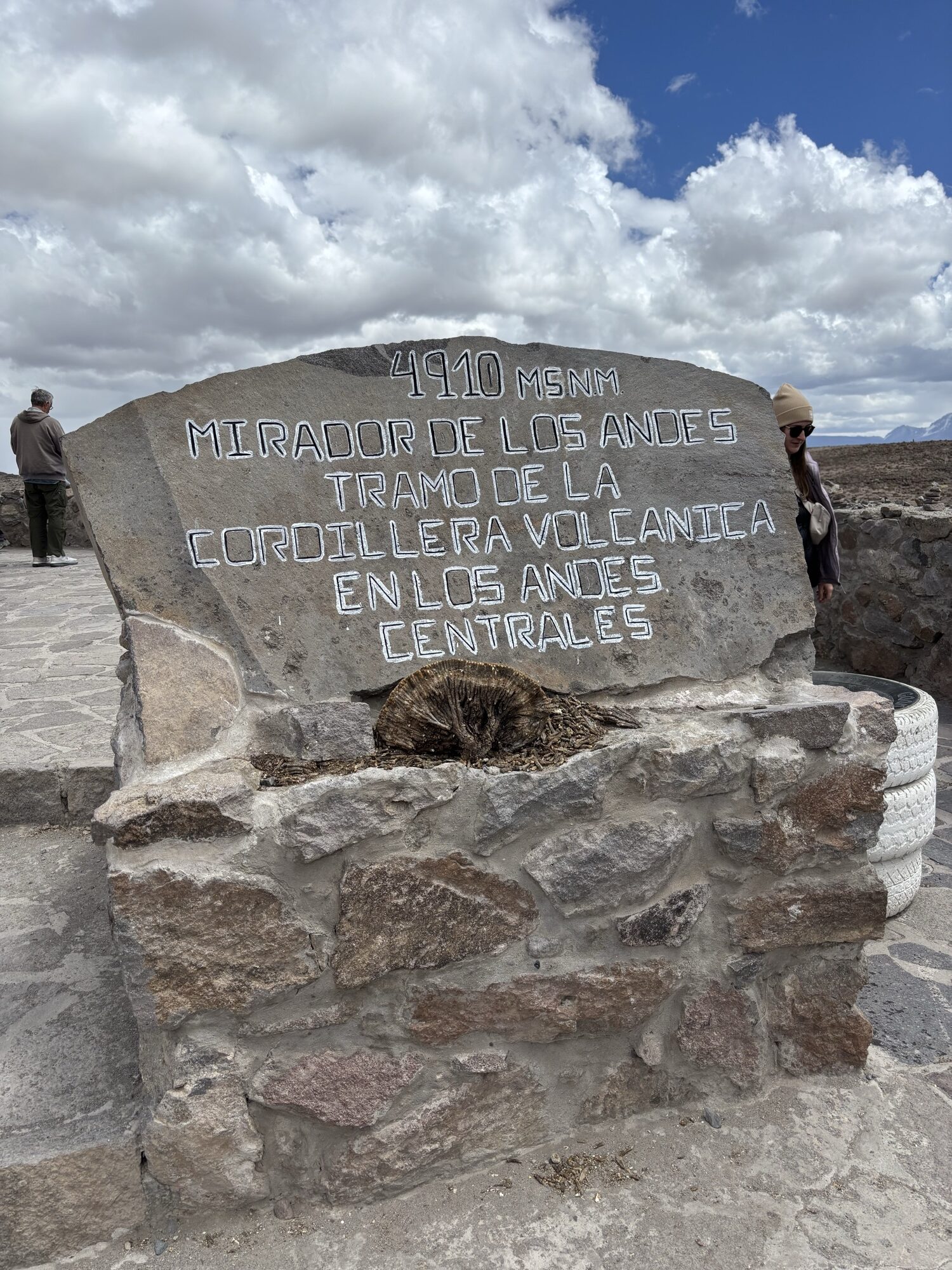Mirador de los andes 4910