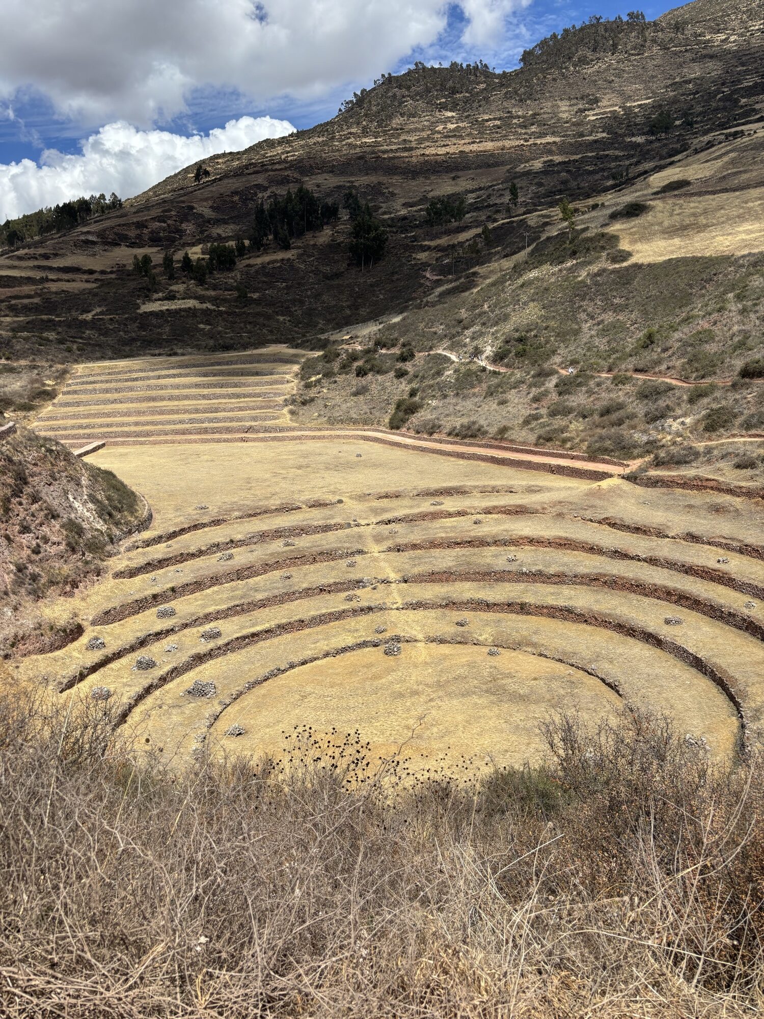 Moray