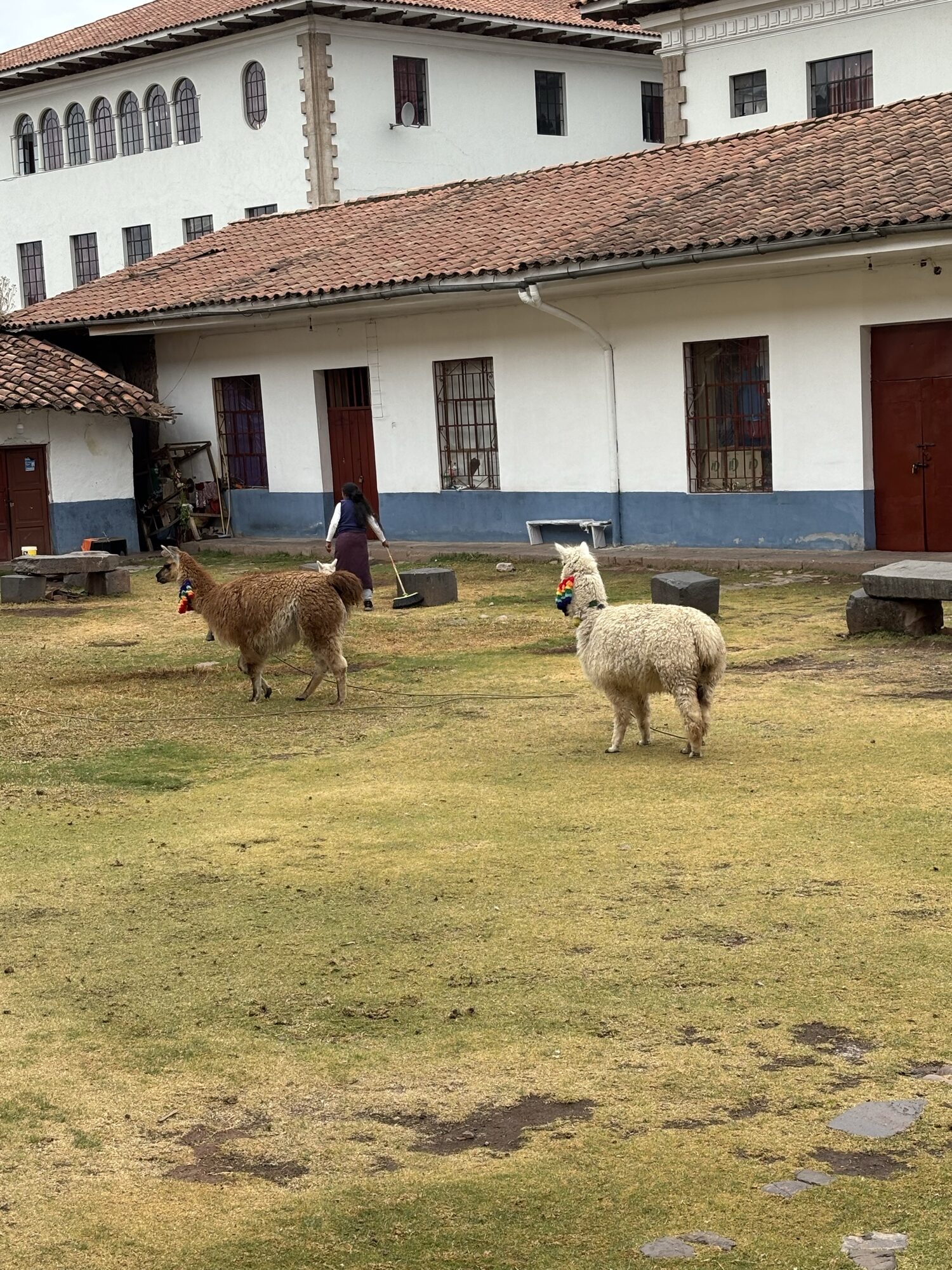 Patio cusco