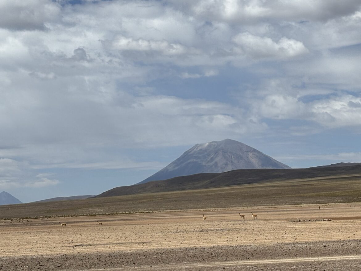 Volcan