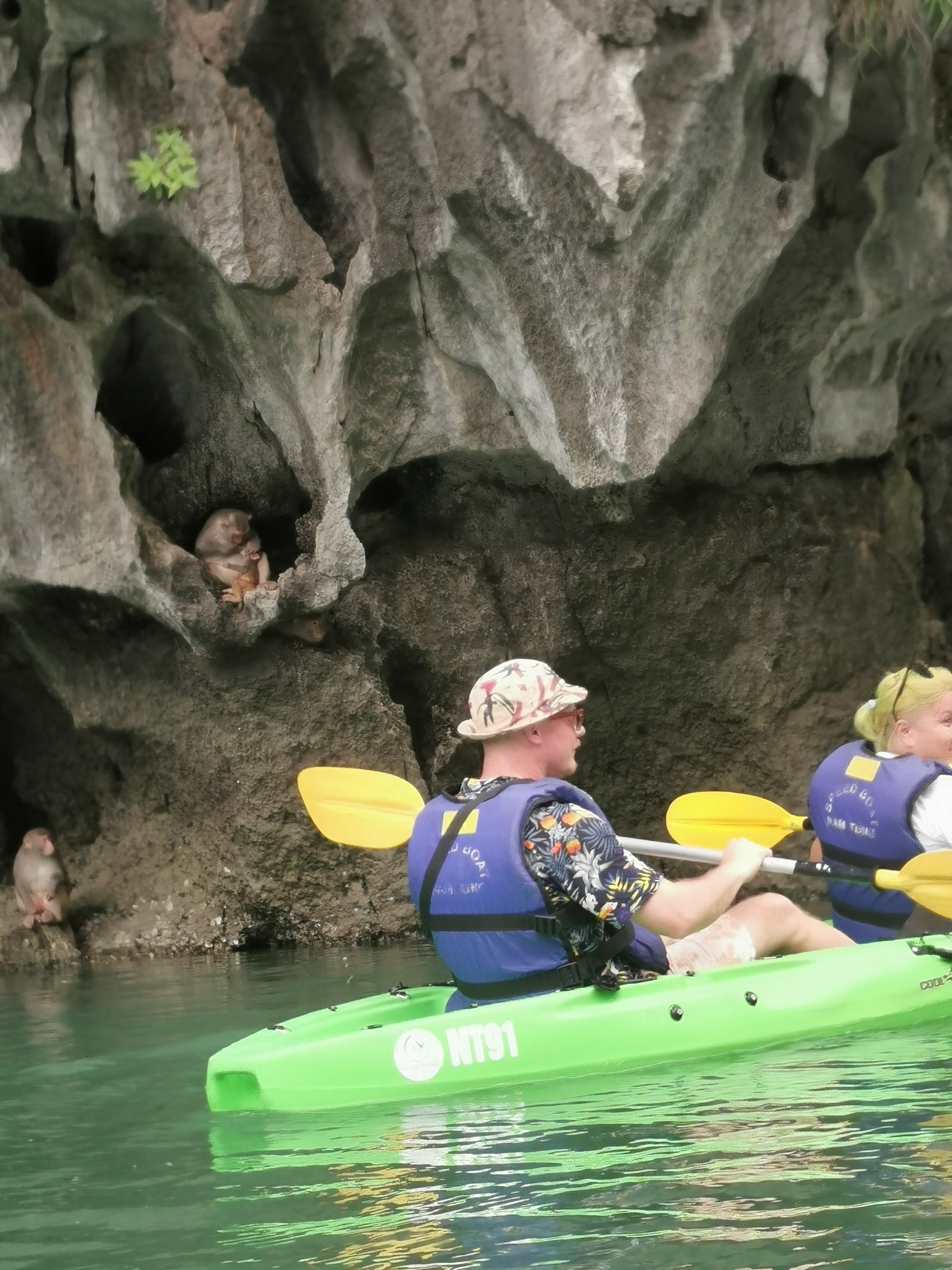 Monos piraguas
