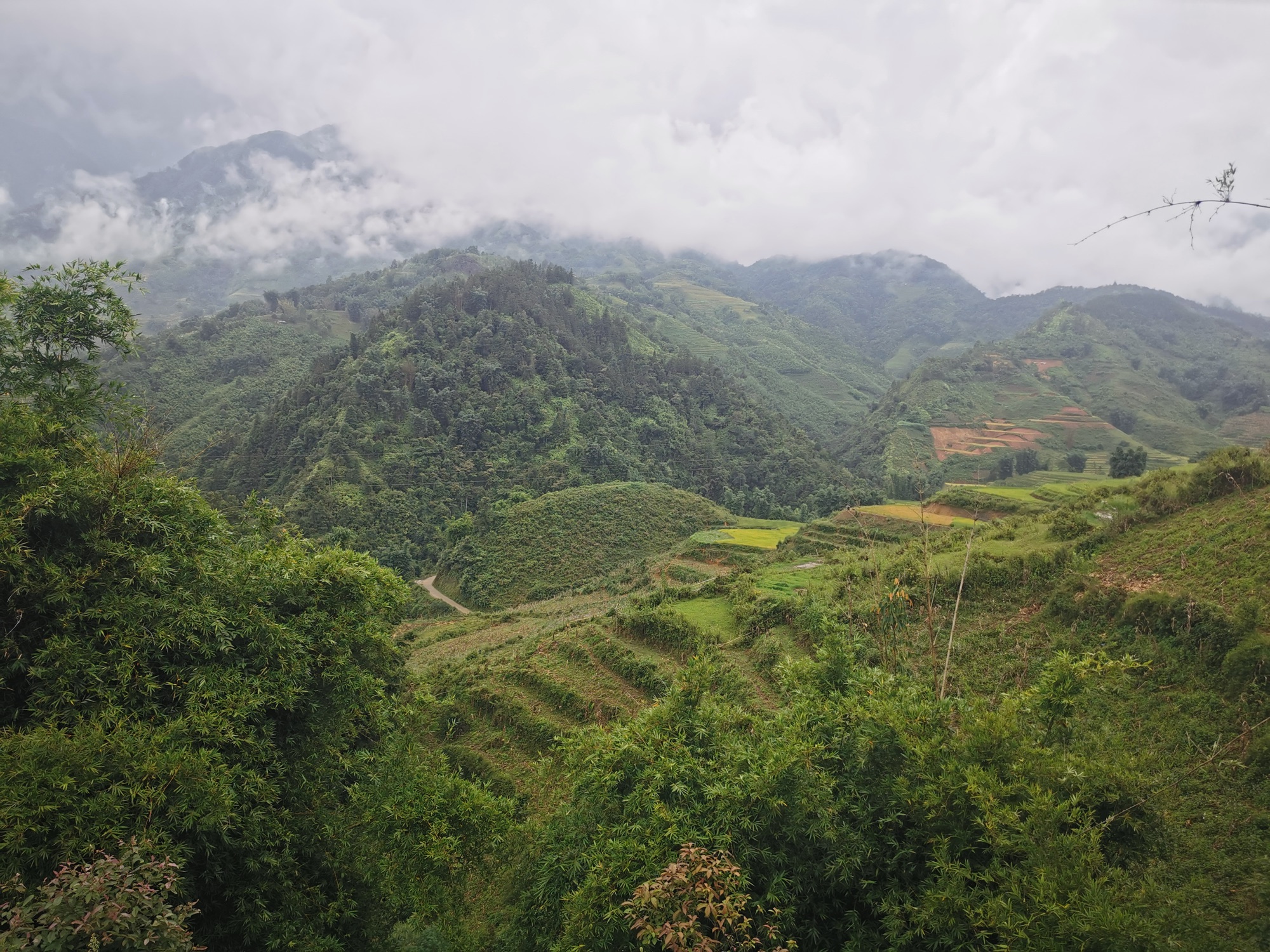 Vistas sapa