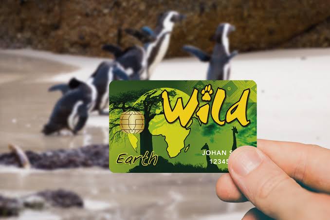 Wild Card Sudáfrica: qué es y si merece la pena
