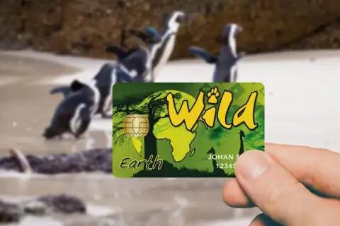 Wild Card Sudáfrica: qué es y si merece la pena