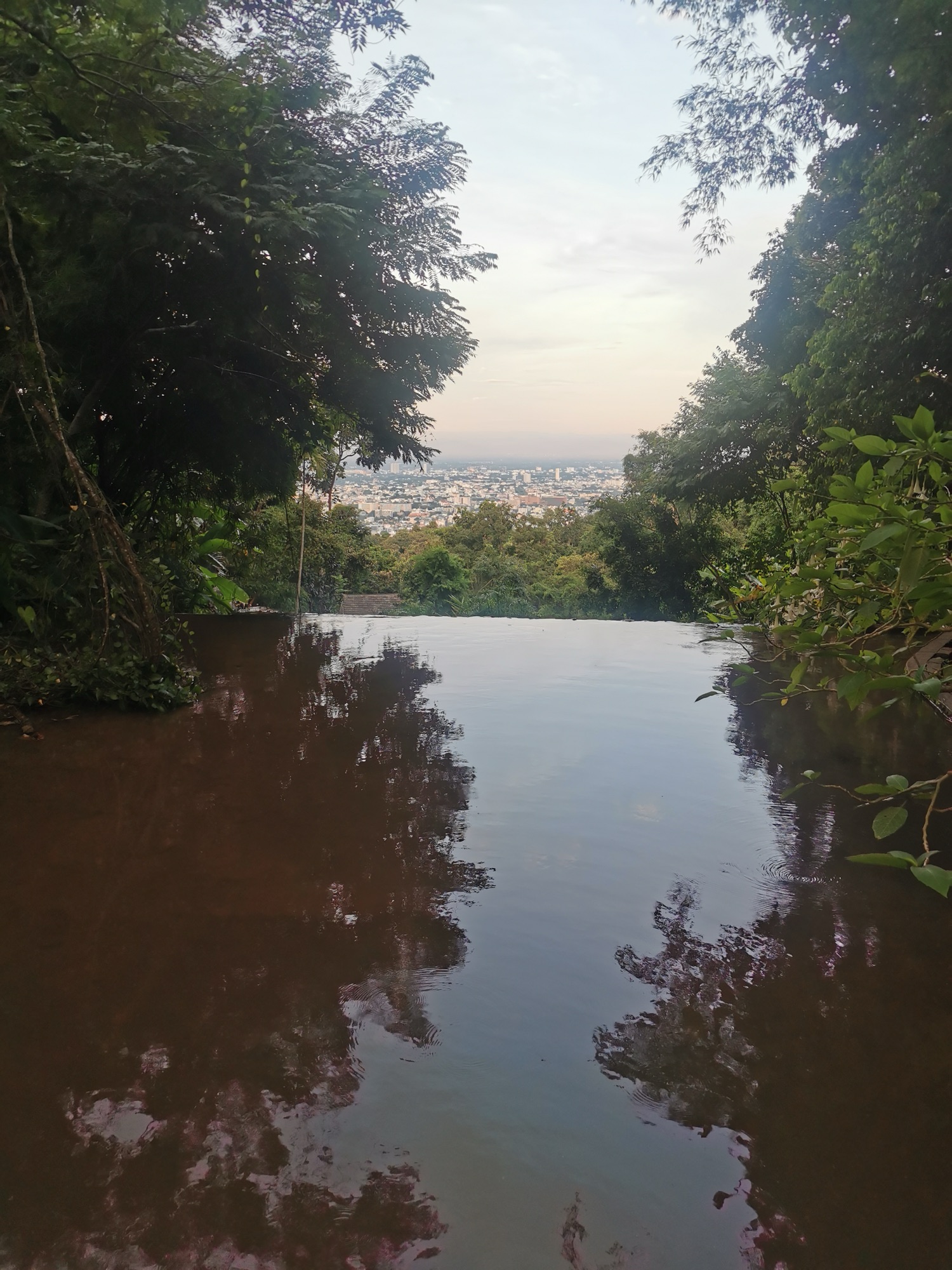 Estanque del Wat Pha Lat con Chiang Mai al fondo entre la vegetación