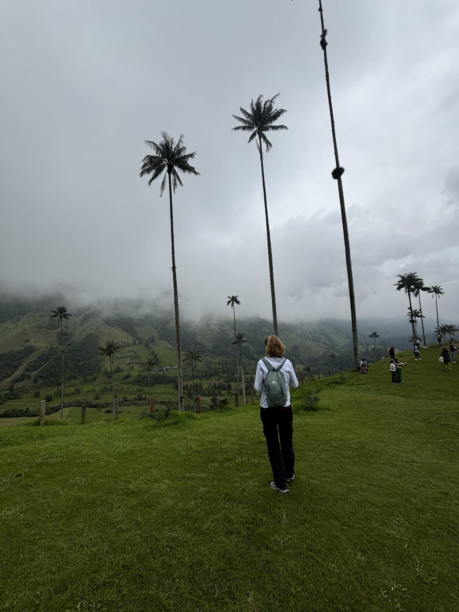 Laura entre las palmas de cera más altas del Valle del Cocora en una mañana nublada
