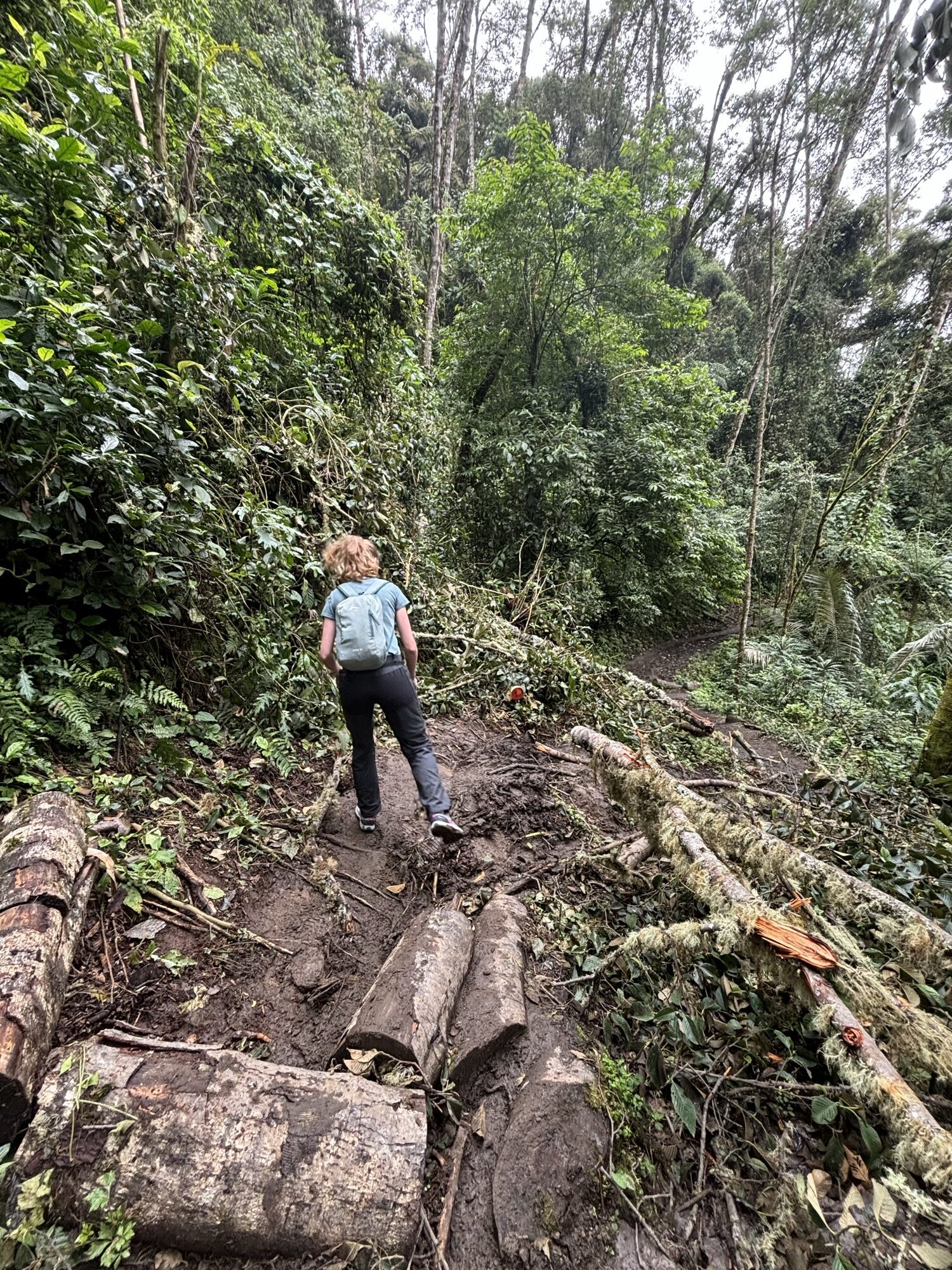 Laura subiendo por el sendero de bosque del Cocora cerca de Finca La Montaña