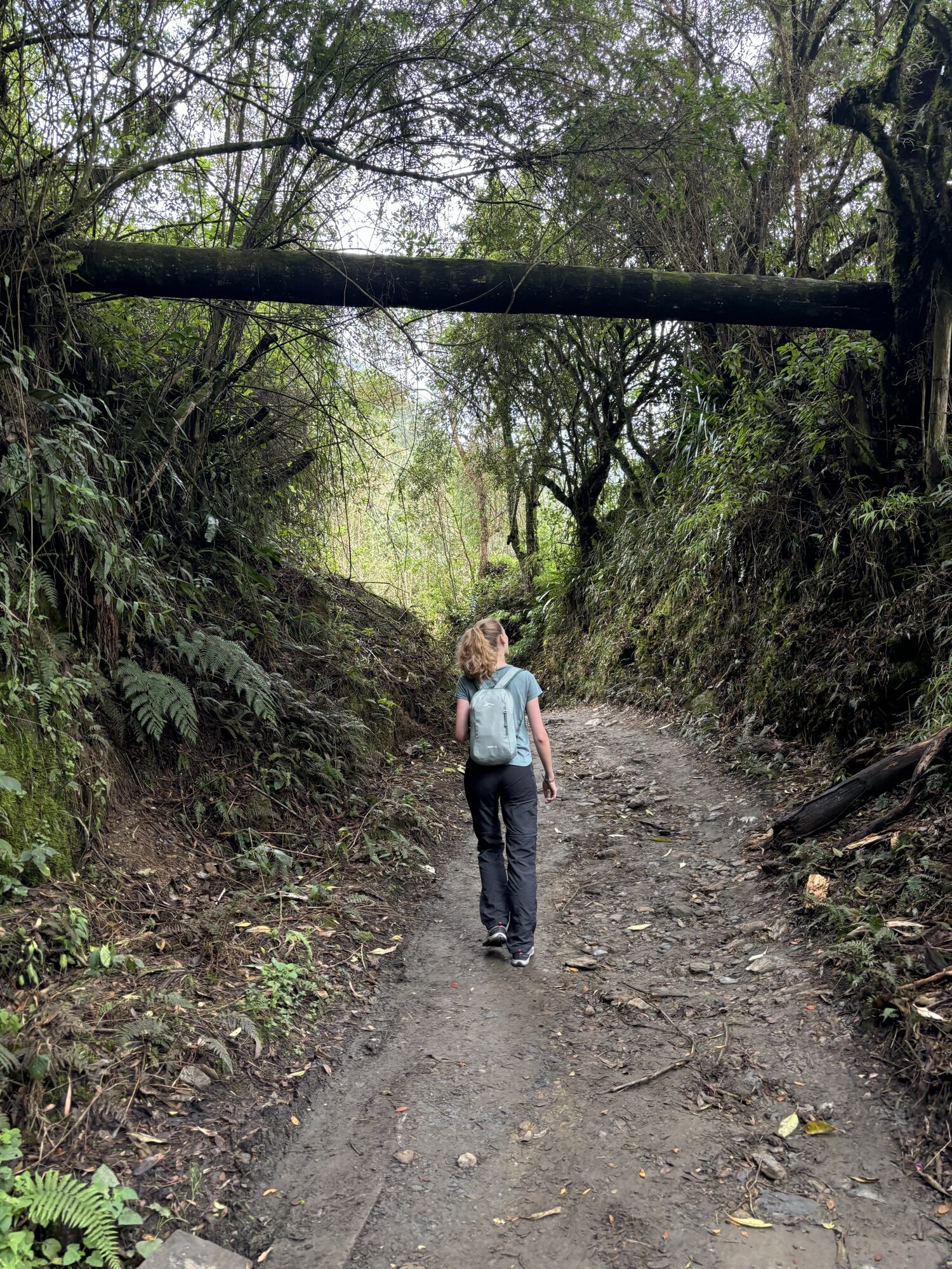 Laura en el sendero de tierra del Valle del Cocora hacia Estrella de Agua, entre bosque