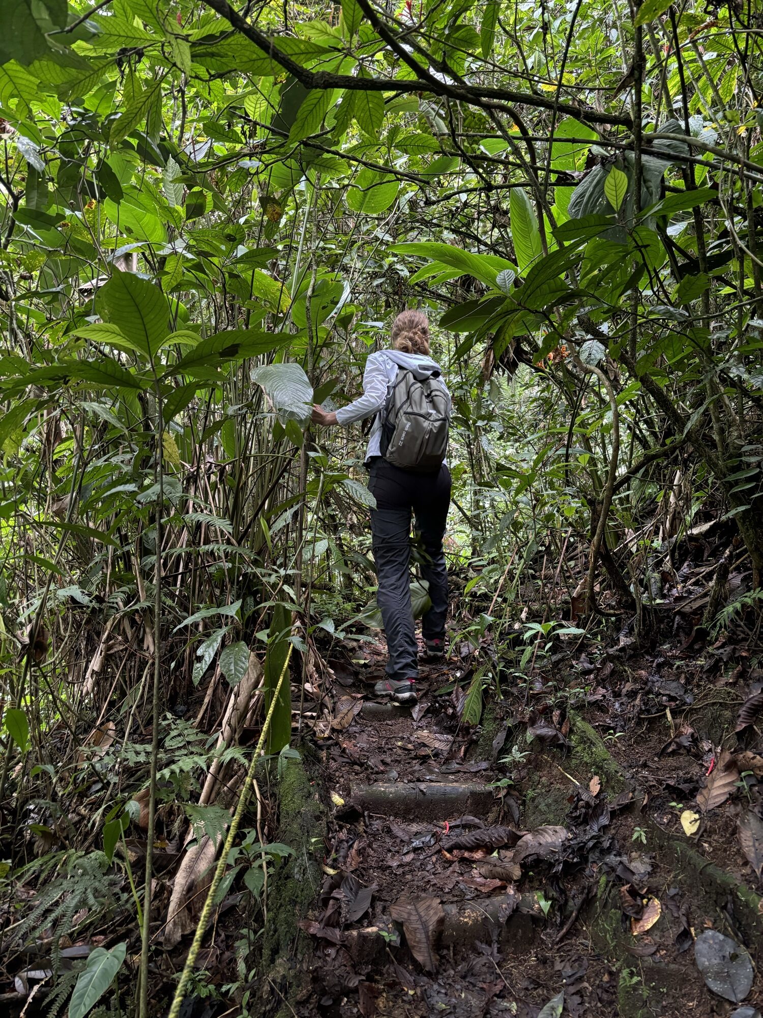 Laura subiendo por un sendero de selva húmeda en los alrededores de Filandia