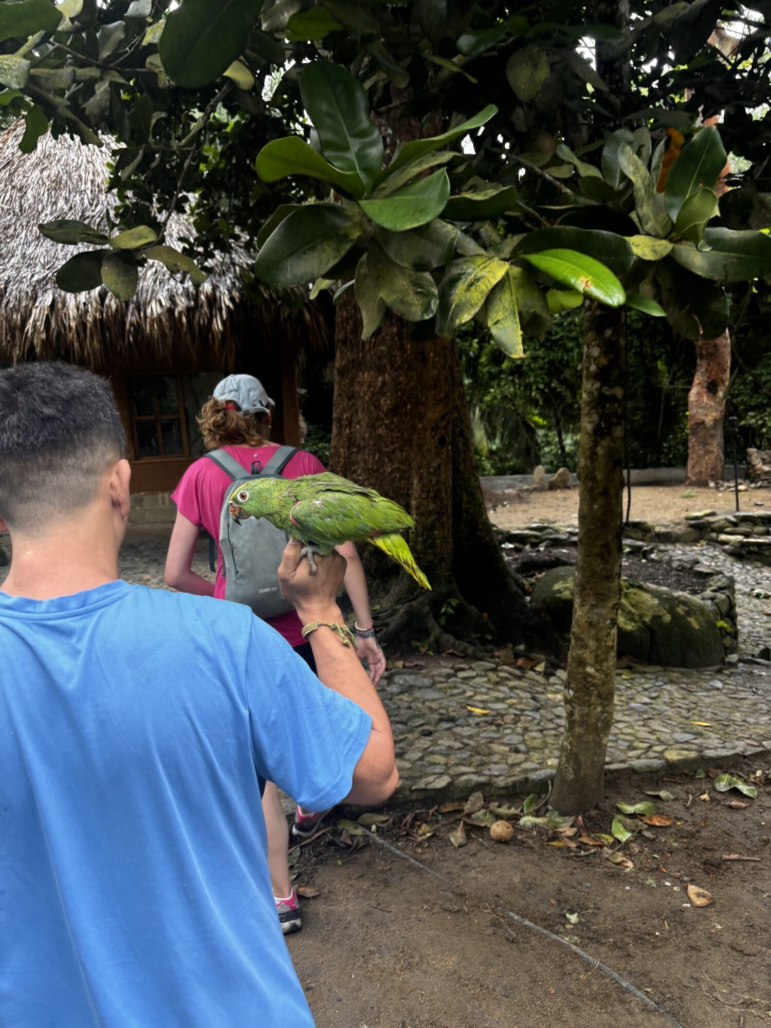 Loro verde posado en la mano junto a Pablo y Laura en el hostal Cima Tayrona
