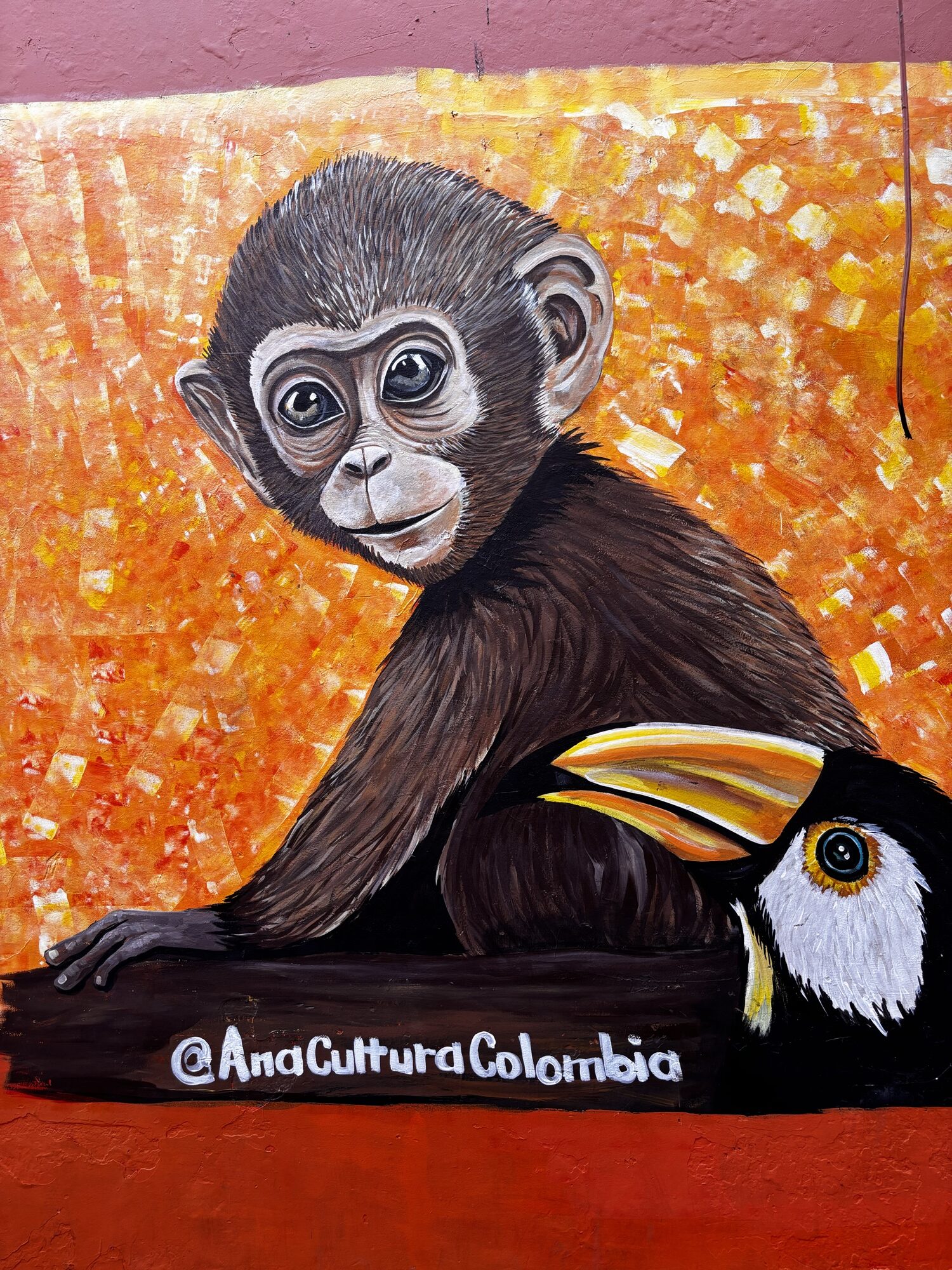 Mural de un mono y un tucán de Ana Cultura Colombia en el centro histórico de Santa Marta