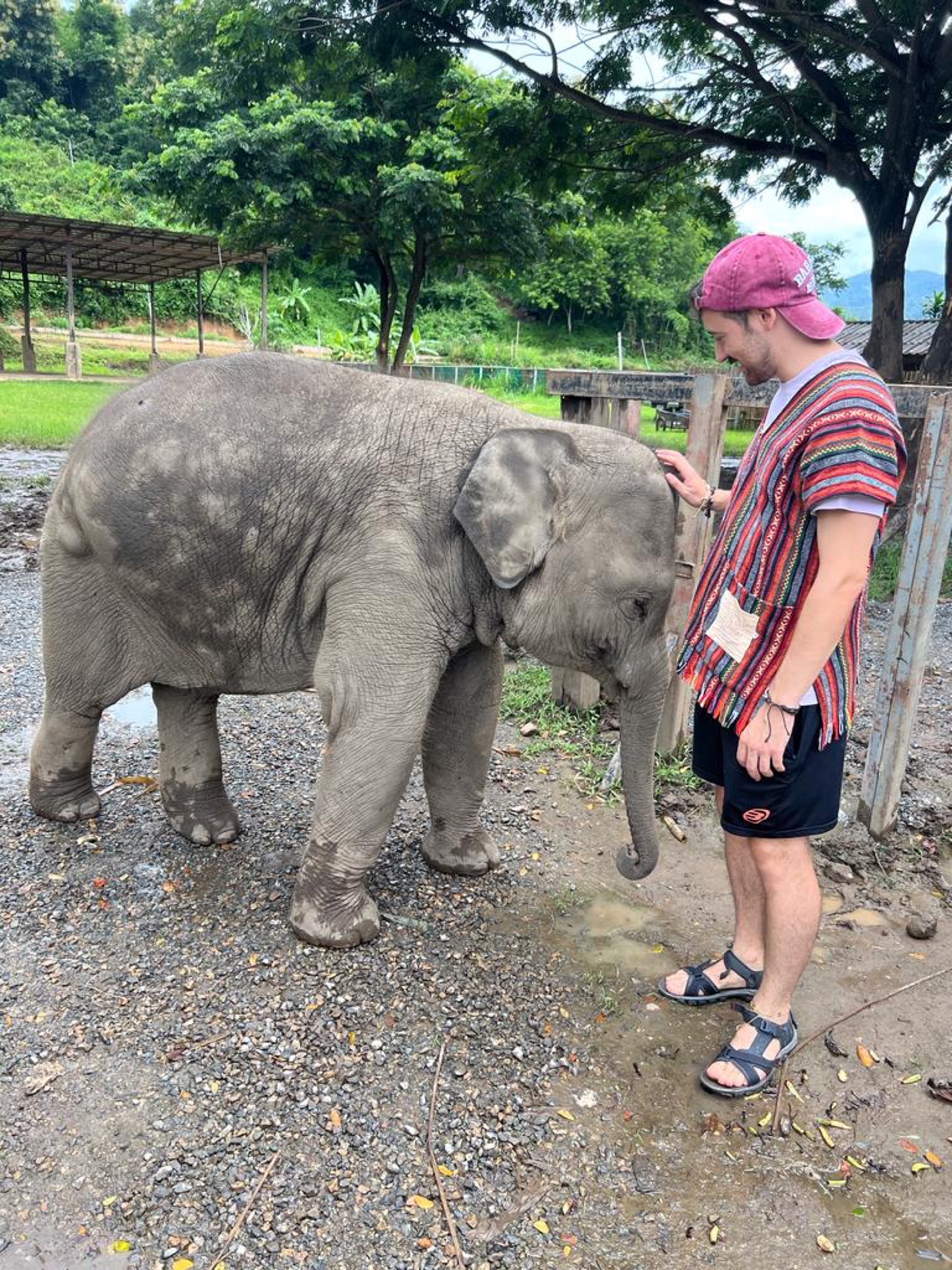 Pablo acariciando una cría de elefante en el santuario de elefantes de Chiang Mai