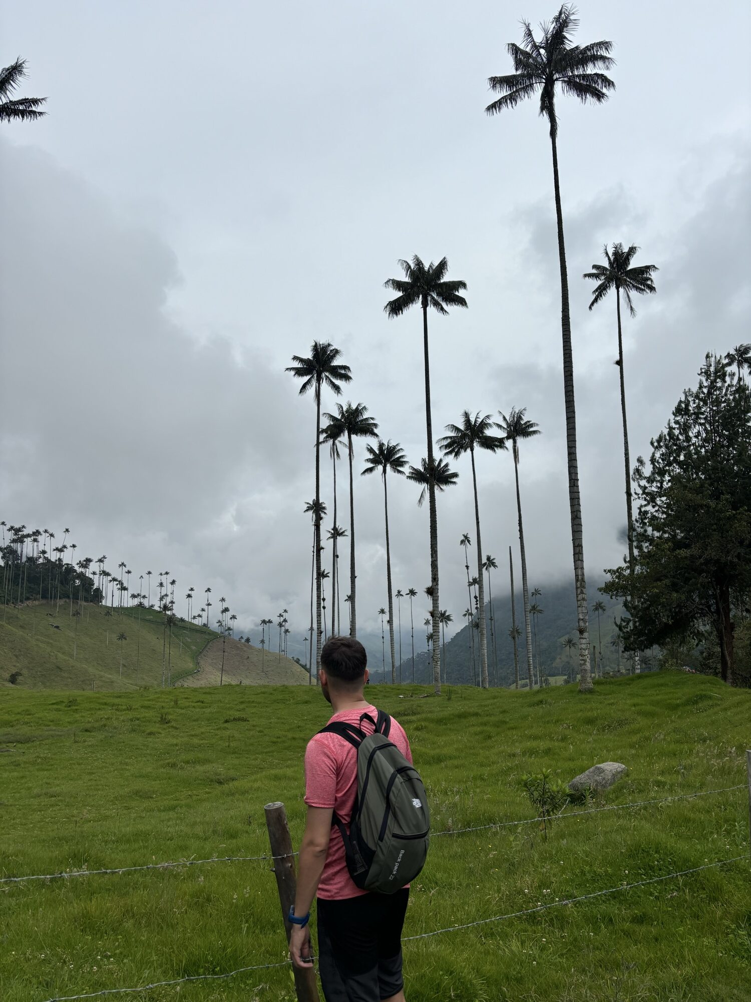 Pablo caminando hacia las palmas de cera junto al mirador Español del Valle del Cocora
