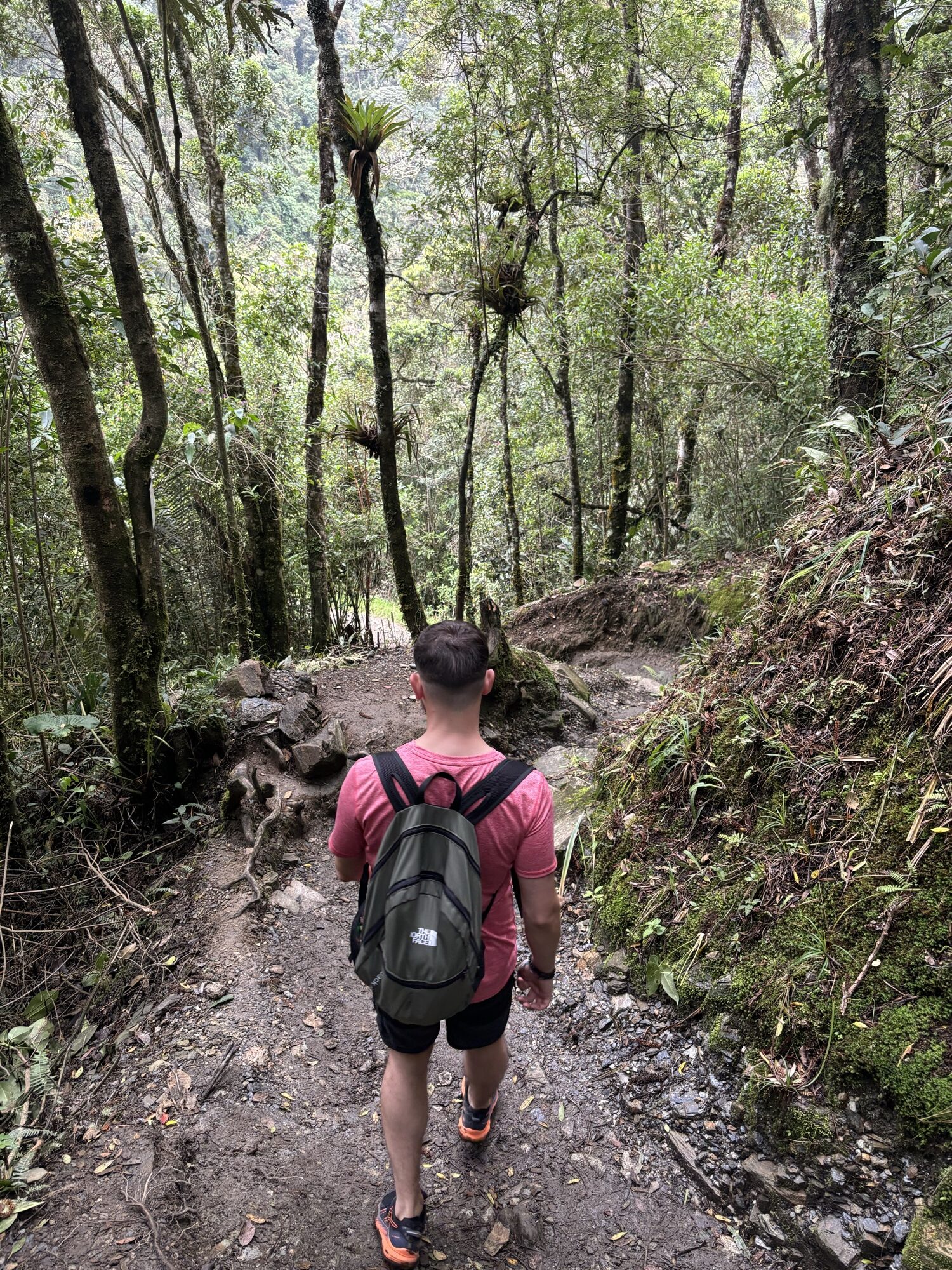 Pablo con mochila caminando por el sendero de bosque de niebla del Valle del Cocora