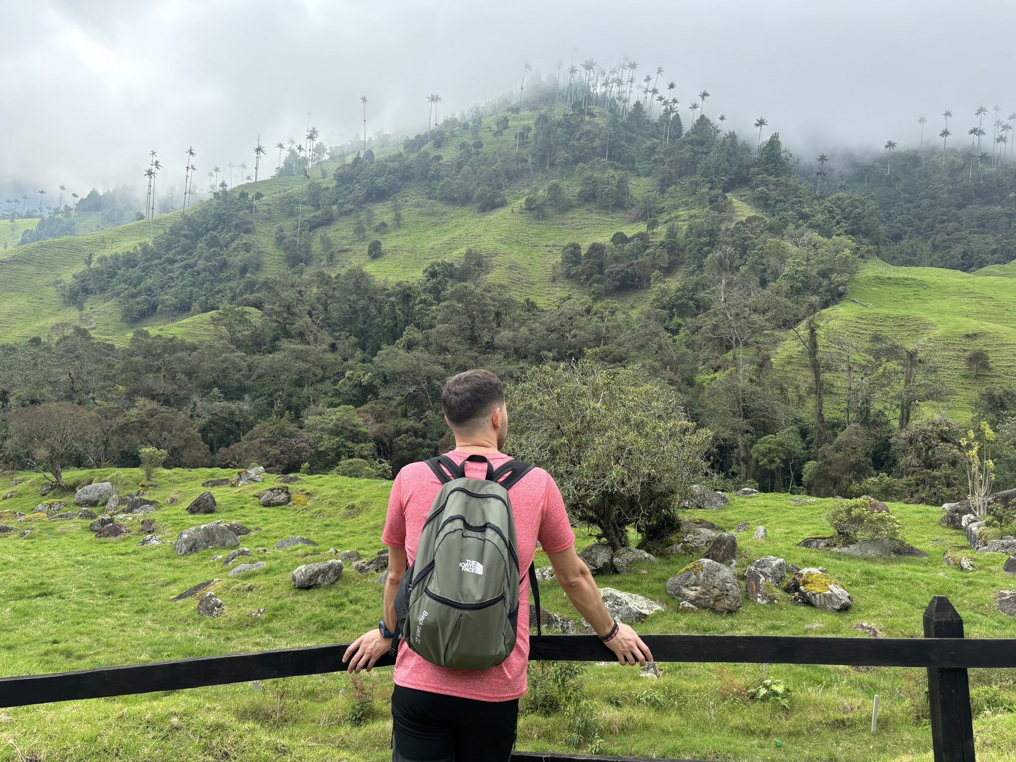 Pablo contemplando las colinas verdes y las palmas de cera del Valle del Cocora al final de la ruta