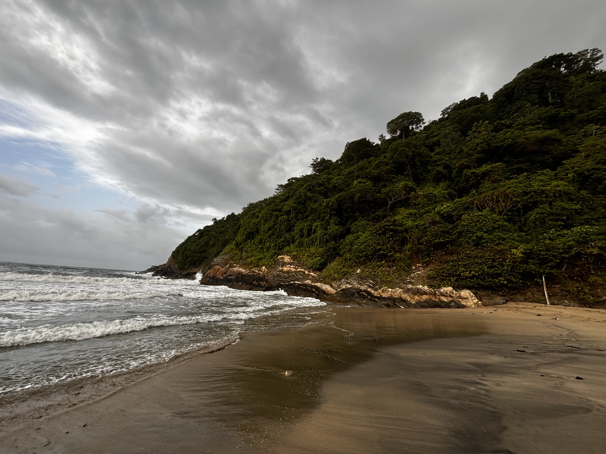 Playa Brava, una playa salvaje con oleaje y selva en el Parque Nacional Tayrona
