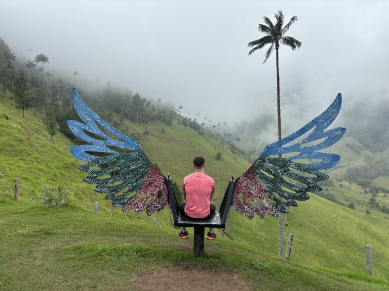 up-portada-pablo-alas-valle-del-cocora