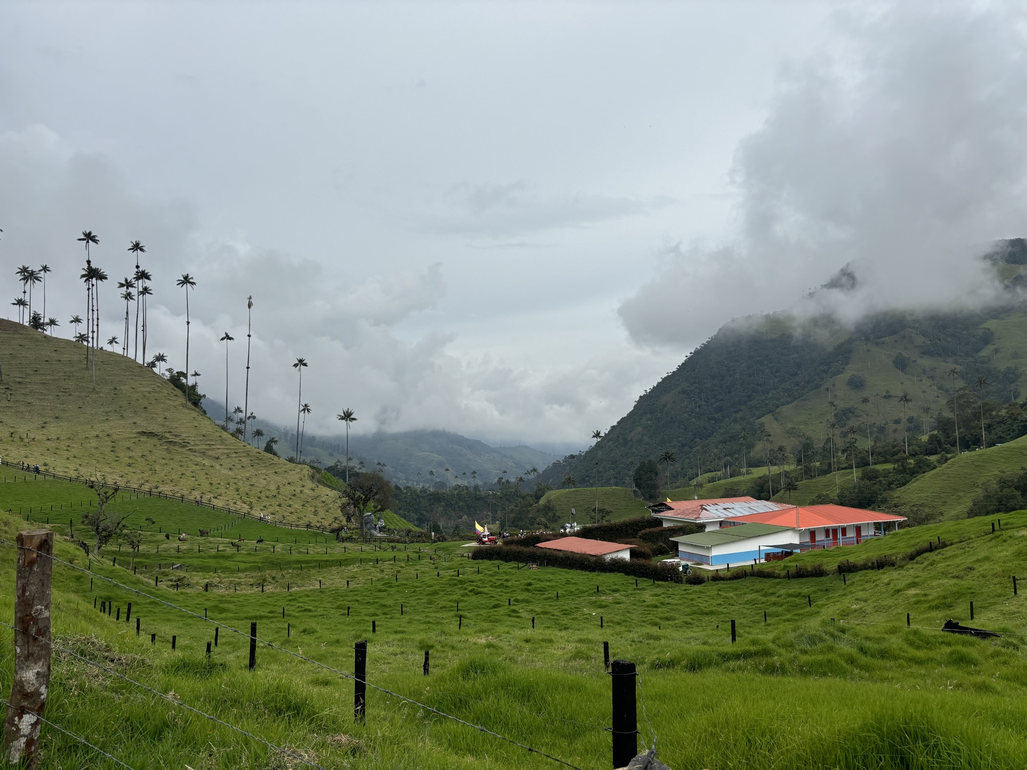 Valle del Cocora con palmas de cera entre la niebla y una finca al pie de las montañas